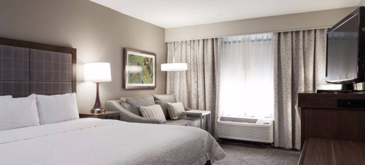 达拉斯DFW机场北葡萄藤欢朋套房酒店(Hampton Inn & Suites Dallas-DFW Airport N/Grapevine)图片