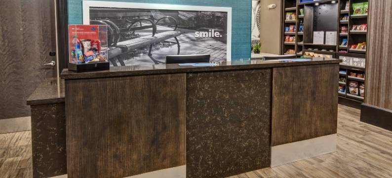 亨德森维尔纳什维尔欢朋套房酒店(Hampton Inn & Suites Nashville/Hendersonville)图片