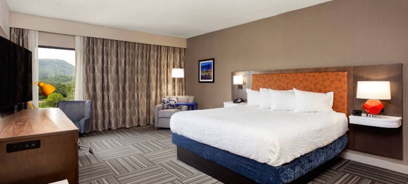 希尔顿欢朋酒店-金斯波特(Hampton Inn Kingsport)图片