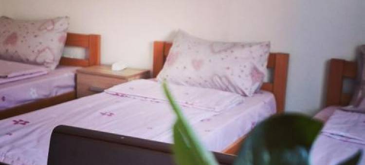 Apartman Živković图片