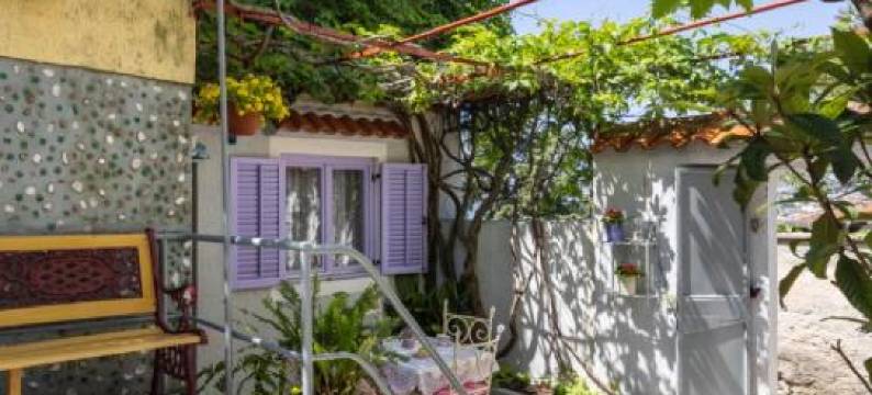 Apartments Dominik图片