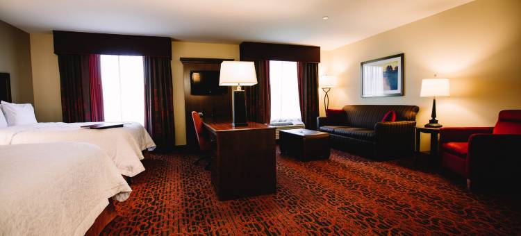 迈诺特欢朋酒店及套房(Hampton Inn & Suites Minot Airport)图片