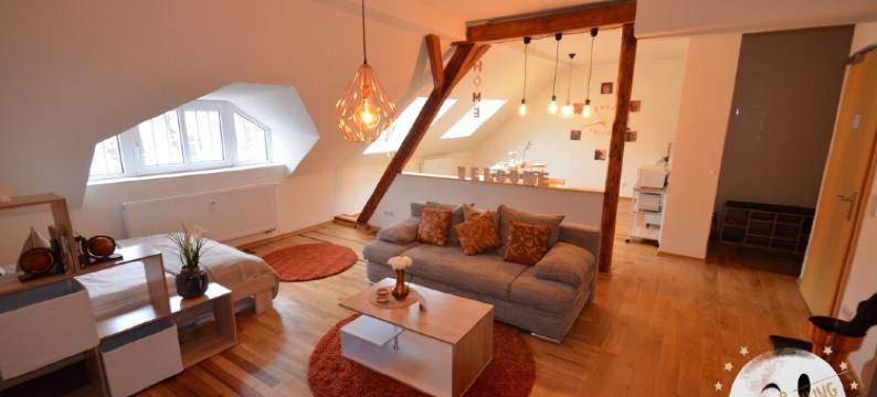 TOP * attic old building parquet !!! NETFLIX & RELAX, 2 beds图片