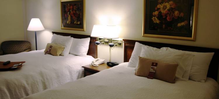 希尔顿欢朋酒店-威廉斯顿(Hampton Inn Williamston)图片