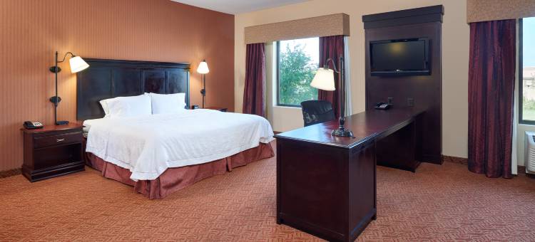 南奥斯汀布达欢朋套房酒店(Hampton Inn & Suites Austin South/Buda)图片