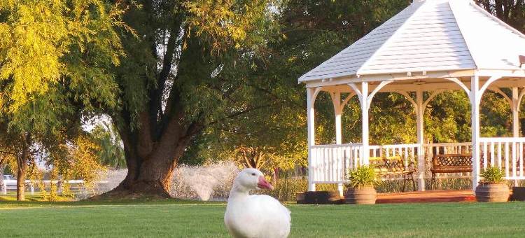 帕克兰会议度假酒店(Parklands Resort Mudgee)图片