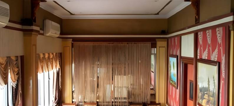 巴亚伟国际酒店(Pallavi International Hotel)图片