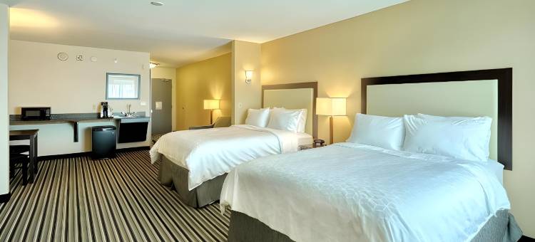 智选假日套房酒店巴达维亚 - 达里恩湖(Holiday Inn Express & Suites Batavia - Darien Lake)图片