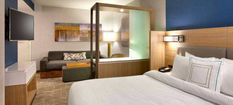 盐湖城南乔丹SpringHill Suites酒店(SpringHill Suites Salt Lake City-South Jordan)图片
