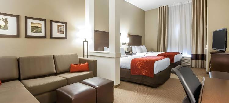 马利耶塔派克斯伯格市舒适套房酒店(Comfort Suites Marietta-Parkersburg)图片