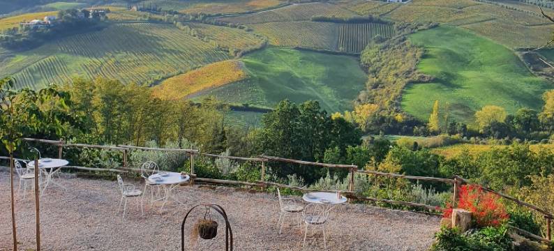 山星酒店(Stelle di Monte)图片