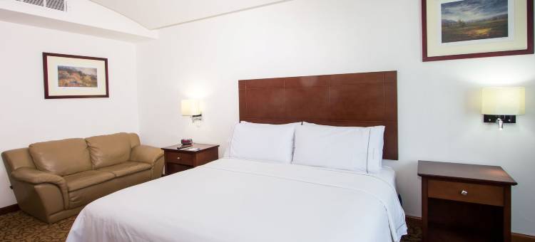 Holiday Inn Express 新拉莱多(Holiday Inn Express NUEVO LAREDO by IHG)图片