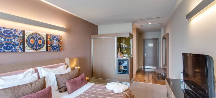 勒旺时尚型酒店(Avantgarde Urban Levent)图片