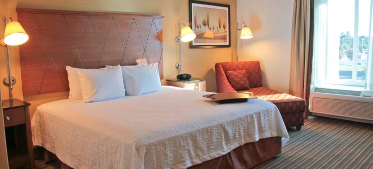 希尔顿欢朋酒店-纽波特纽斯(Hampton Inn Hampton-Newport News)图片