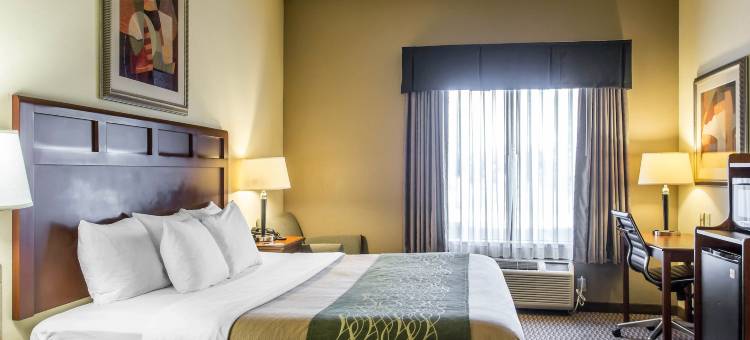 舒适套房酒店(Comfort Inn and Suites)图片