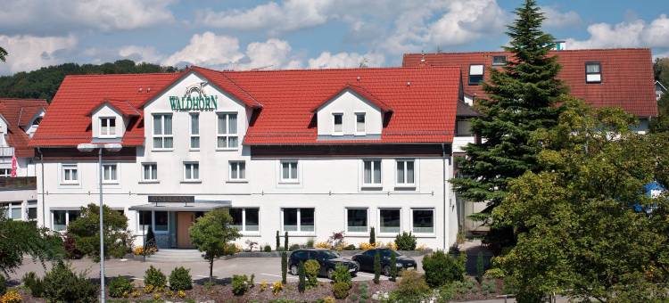 沃尔德霍恩酒店(Hotel Waldhorn)图片