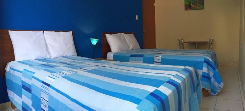 罗德因青年旅舍(Hostal Rodinn)图片