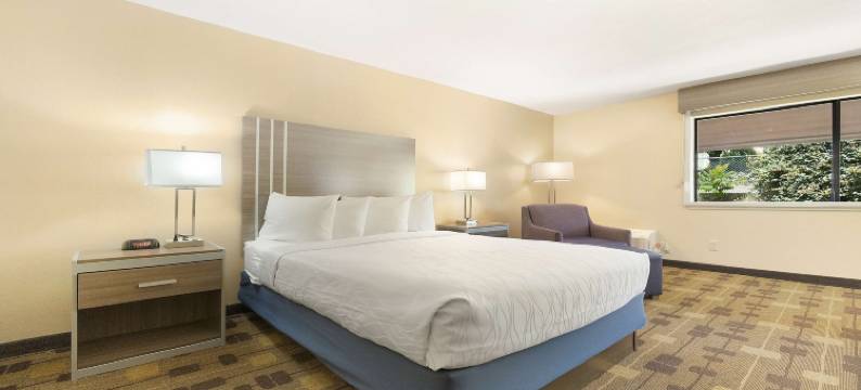 阿马多尔贝斯特韦斯特酒店(Best Western Amador Inn)图片