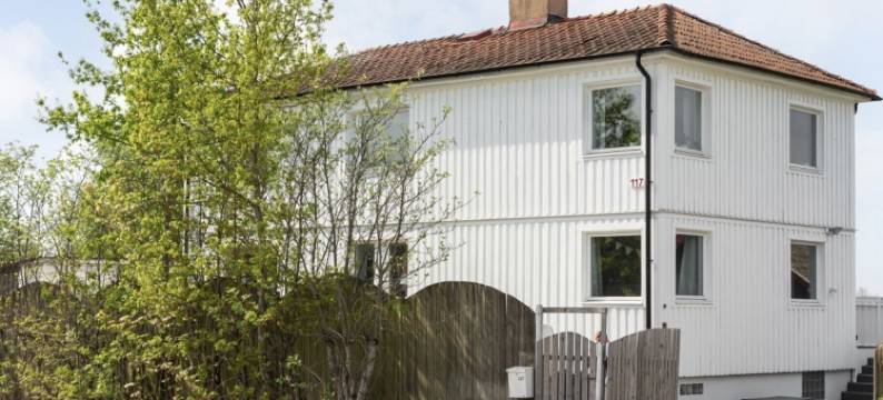 沙微蓝(Solglimt)图片