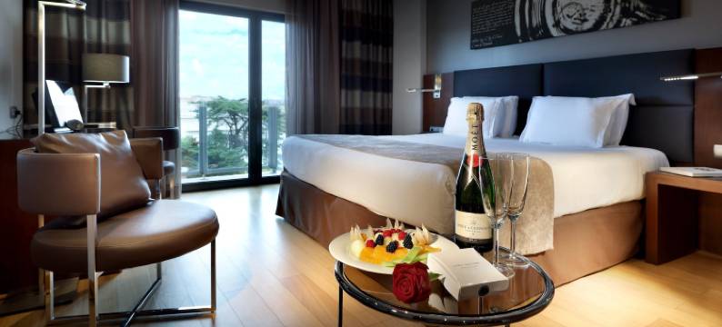 欧洲之星快报酒店(Eurostars Das Letras)图片