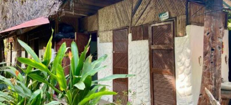 Maria Mulata Palomino图片