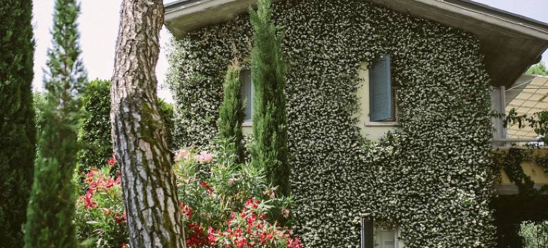 皮科拉维拉酒店(Hotel Piccola Vela)图片