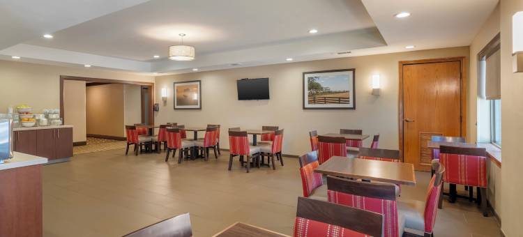 麦金尼阿伦舒适套房酒店(Comfort Suites McKinney-Allen)图片