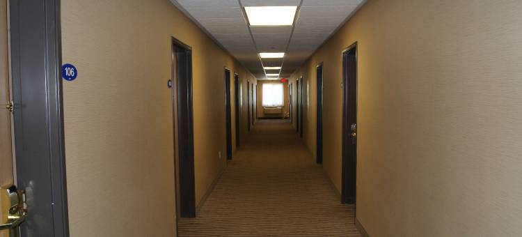 穆列塔-特曼库拉-葡萄酒之乡舒适酒店(Comfort Inn & Suites Murrieta Temecula Wine Country)图片