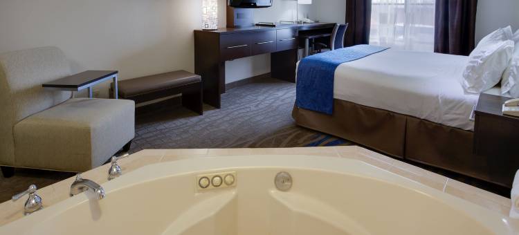 梅多兰兹地区智选假日套房酒店(Holiday Inn Express & Suites Meadowlands Area)图片