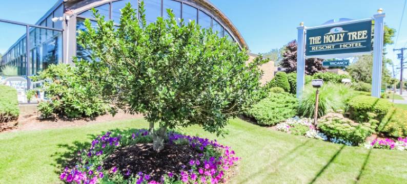 圣树度假村酒店--VRI度假村(Holly Tree Resort)图片