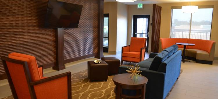 辛辛那提南部弗洛伦斯舒适套房酒店(Comfort Suites Florence - Cincinnati South)图片