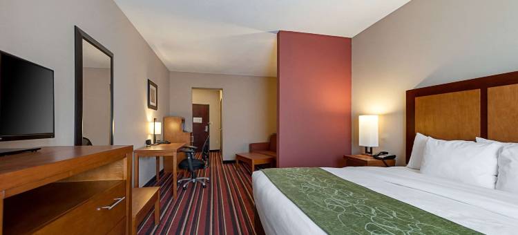 萨尔弗 - 查尔斯湖舒适套房酒店(Comfort Suites Sulphur-Lake Charles)图片