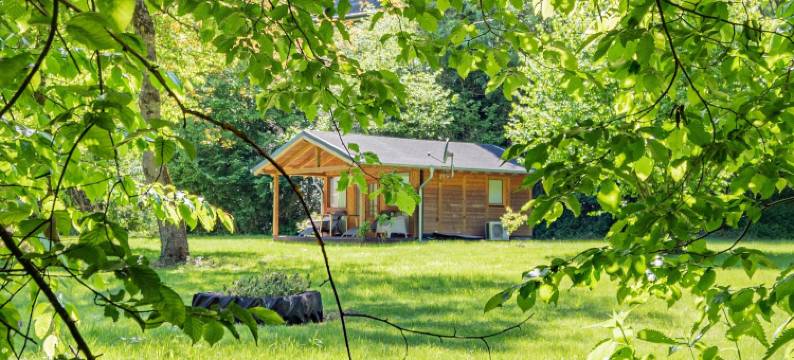 林格斯汀讷木勒兰德酒店(Landhotel Ringelsteiner Mühle)图片