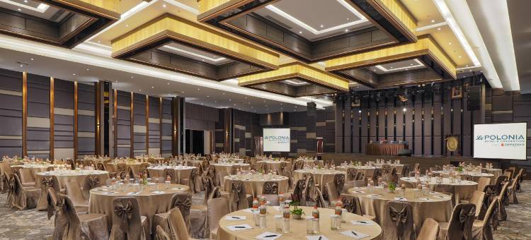 Le Polonia Hotel & Convention Medan图片