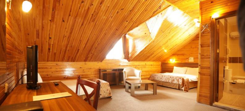 帕兰多肯德德曼度假村(Dedeman Palandoken Resort Hotel)图片