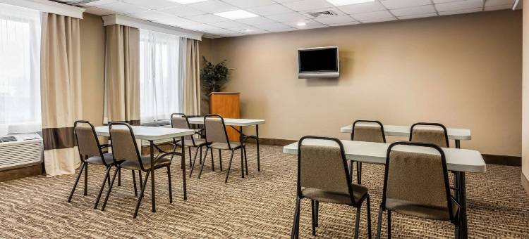 美国之路孟菲斯舒适套房机场酒店(Comfort Inn & Suites Airport-American Way)图片