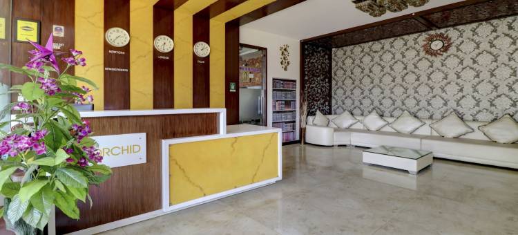 Treebo兰花(Treebo Orchid)图片