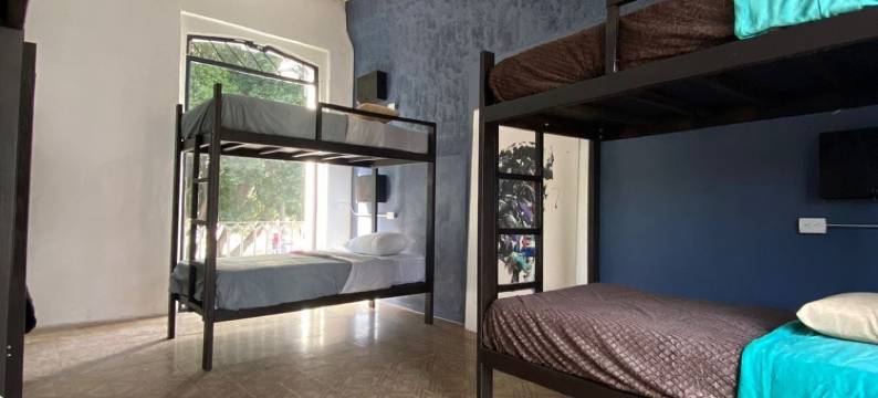 Choco招待所(Choco Hostel)图片