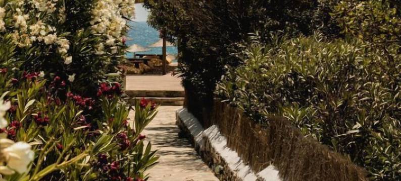 索罗斯海滩酒店(Soros Beach Antiparos)图片