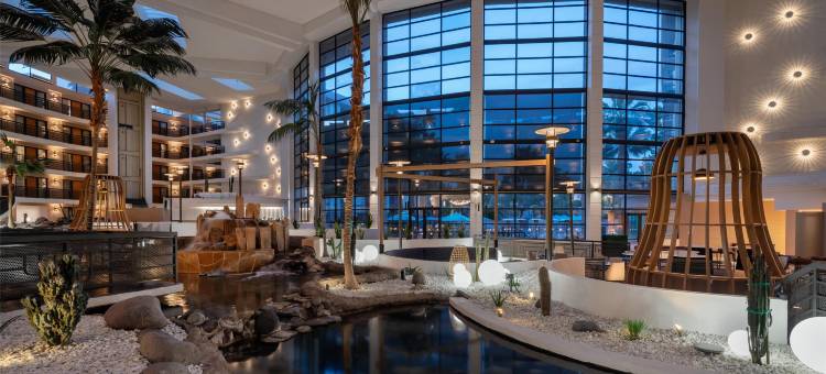 凤凰城比特摩尔希尔顿安泊酒店(Embassy Suites by Hilton Phoenix Biltmore)图片