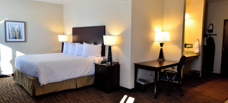 鹅卵石套房酒店 - 霍尔斯坦(Cobblestone Inn & Suites - Holstein)图片