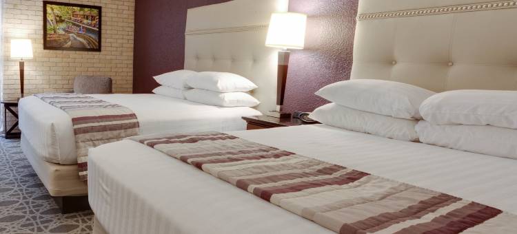 圣安东尼奥东北德鲁里套房酒店(Drury Inn & Suites San Antonio Northeast)图片
