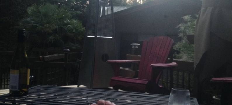 盐泉马车房住宿加早餐旅馆(Salt Spring Carriage House B&B)图片