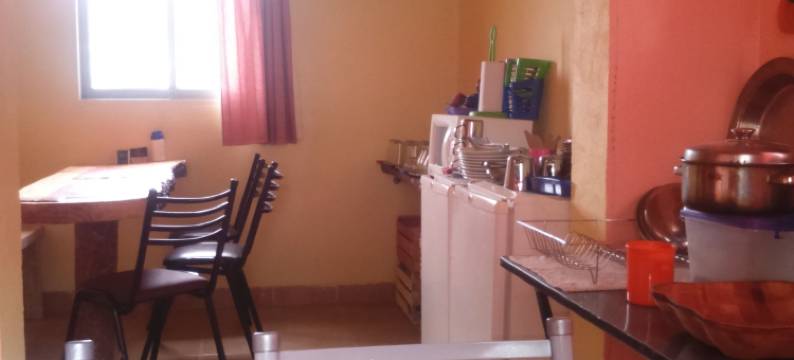 米尔纳里奥斯青年旅舍(Milenarios Hostel)图片