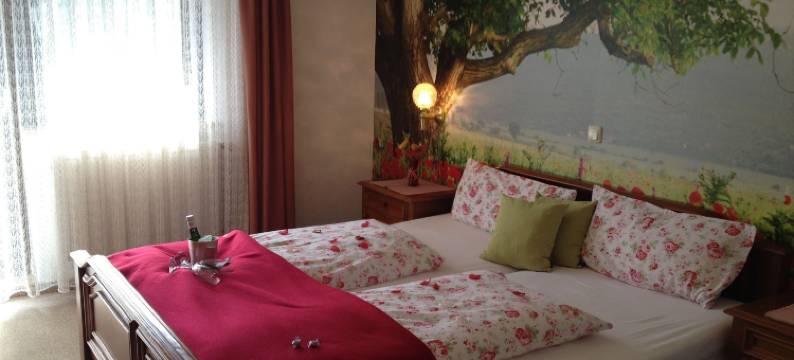 鲍尔特色酒店(Antjes Schmankerlhotel Und Restaurant)图片