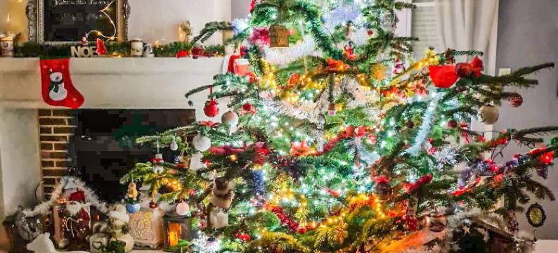 卢米埃城堡旅馆(Le Château des Lumières de la Baie de Somme Chambre d'hôtes de Charme)图片