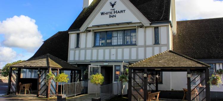 白鹿宾馆(The White Hart)图片