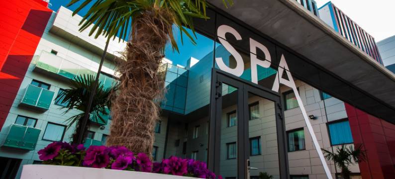 比内法尔城酒店(Hotel & Spa Ciudad de Binéfar)图片