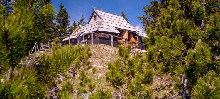 科卡比斯特拉 - 威力卡普拉妮娜饭店(Koča Bistra - Velika Planina)图片