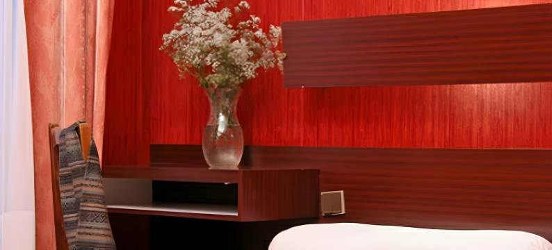 茶花国际(Camelia International)图片